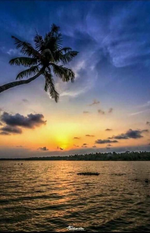 Rajatheeram Beach Homestay & Backwater Cruise Alleppey アーラップーザ県 エクステリア 写真