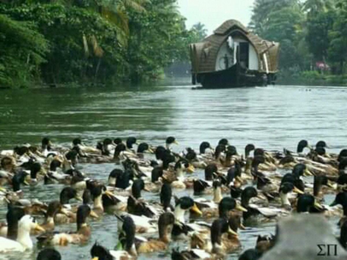 Rajatheeram Beach Homestay & Backwater Cruise Alleppey アーラップーザ県 エクステリア 写真