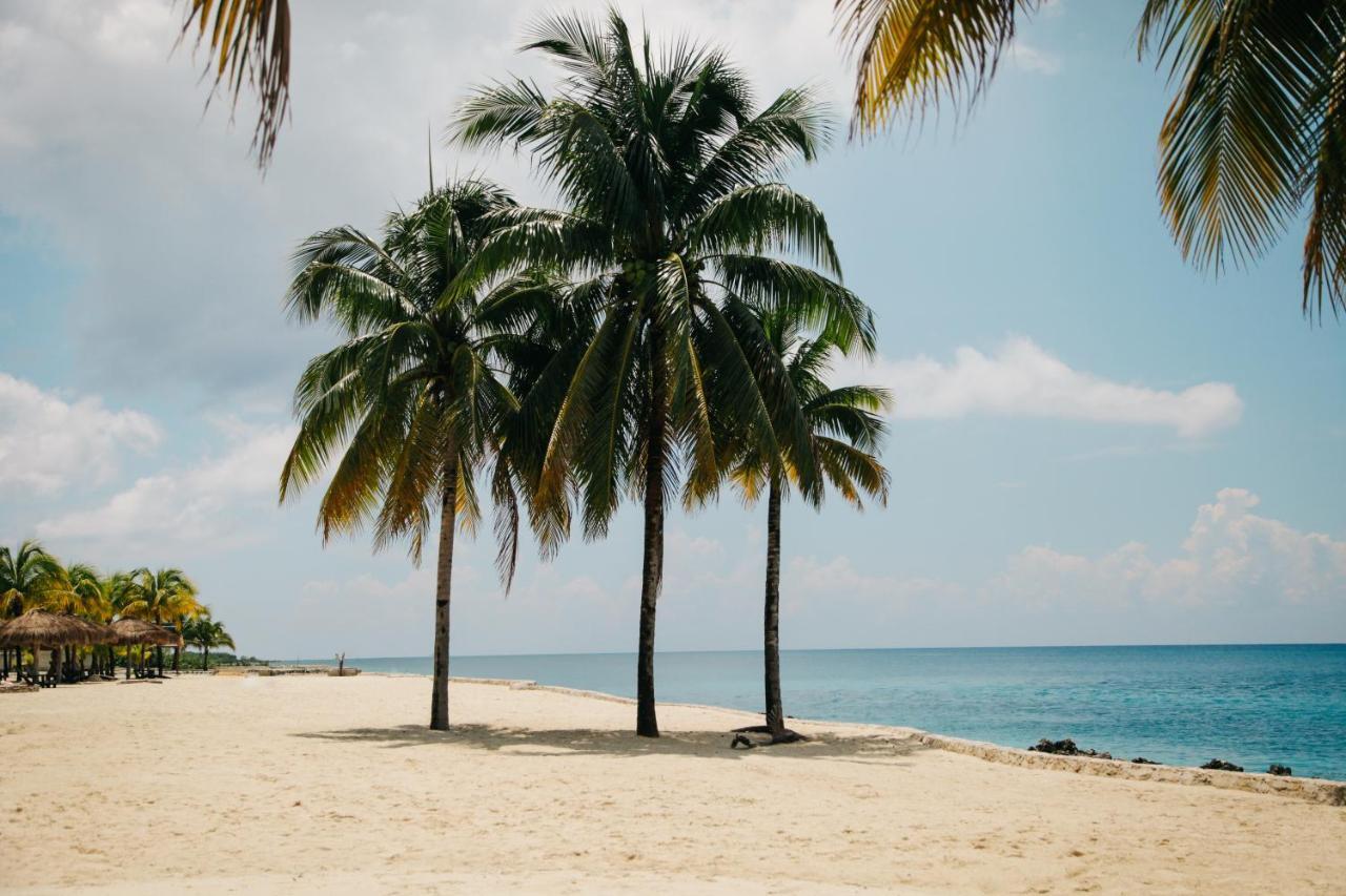 Rajatheeram Beach Homestay & Backwater Cruise Alleppey アーラップーザ県 エクステリア 写真